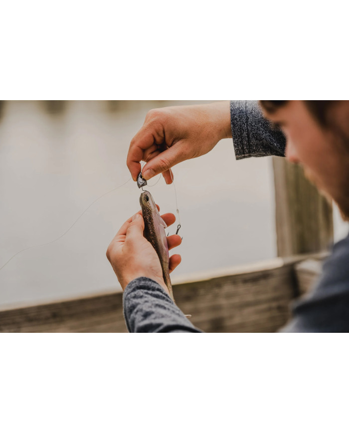 6" Whale (6th Sense)