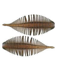 2.8" Bellows Gill 95 FLOATING (Geecrack) 2.8" Bellows Gill 95 FLOATING (Geecrack)