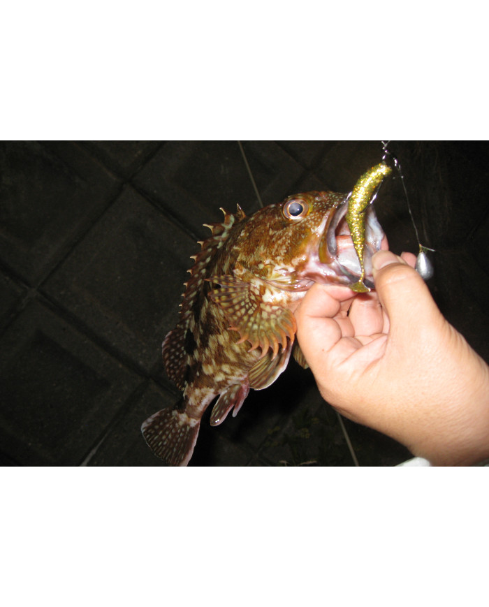 Worm117 HD Hook Offset Hook (Decoy)