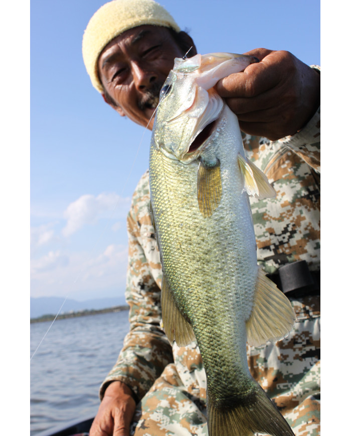 Worm117 HD Hook Offset Hook (Decoy)