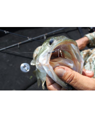 Worm120 HD Masubari Hook (Decoy)