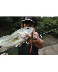Worm217 Zero-Dan Jika Rig (Decoy) Worm217 Zero-Dan Jika Rig (Decoy)