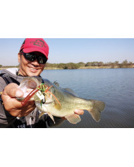 ZF-1S Zero-Dan Flash Offset (Decoy)