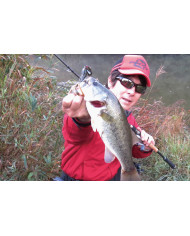 ZF-1S Zero-Dan Flash Offset (Decoy)