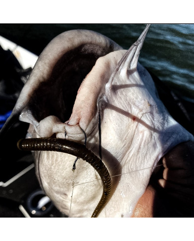 GP FINESSE HOOK (Spearpoint Hooks) GP FINESSE HOOK (Spearpoint Hooks)