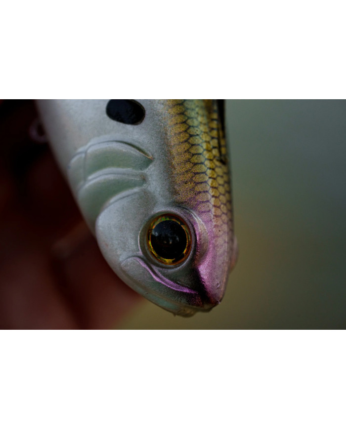 6.25" Hangover Line Through Swimbait - Fast Sink (6th Sense) 6.25" Hangover Line Through Swimbait - Fast Sink (6th Sense)