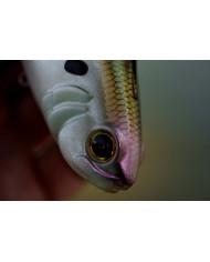 6.25" Hangover Line Through Swimbait - Fast Sink (6th Sense) 6.25" Hangover Line Through Swimbait - Fast Sink (6th Sense)