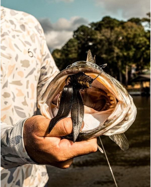 6.5" Bodega (6th Sense)