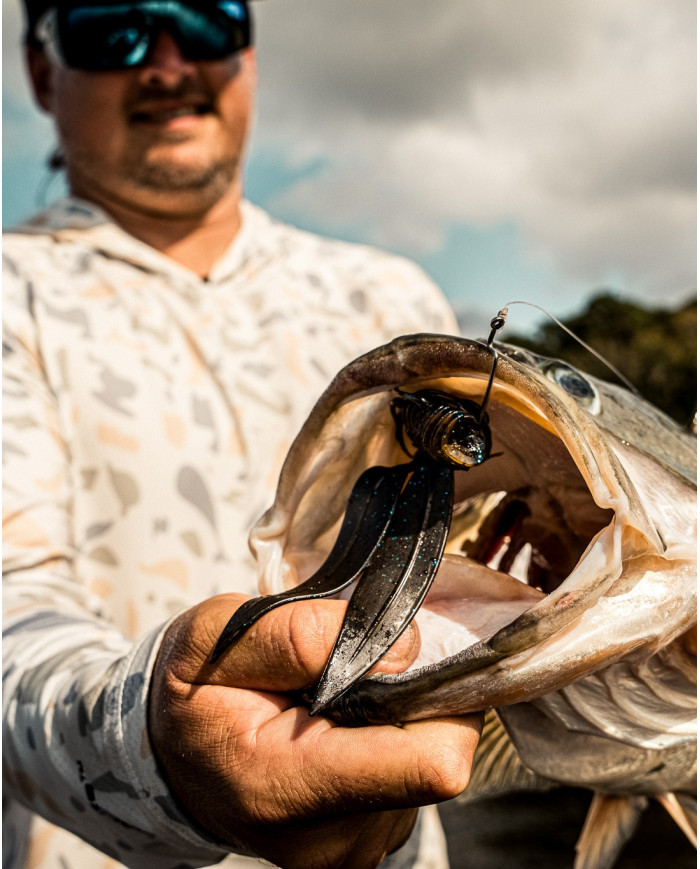 6.5" Bodega (6th Sense)