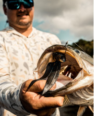 6.5" Bodega (6th Sense)