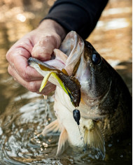 3.8" FlipGill (6th Sense)