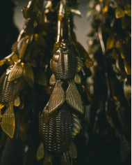 3.8" FlipGill (6th Sense)