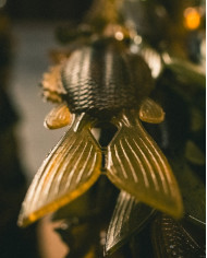 3.8" FlipGill (6th Sense)