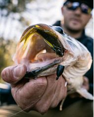 3.8" FlipGill (6th Sense)