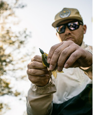 3.8" FlipGill (6th Sense)