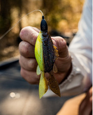 3.8" FlipGill (6th Sense)