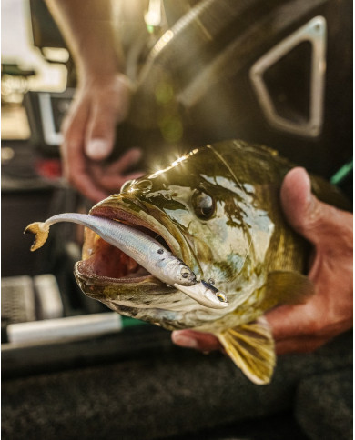 3.7" Strobe Shaker (6th Sense)