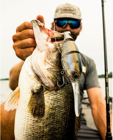 7.8" Unit 24 (6th Sense)