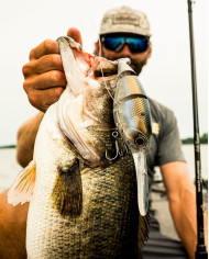 7.8" Unit 24 (6th Sense)