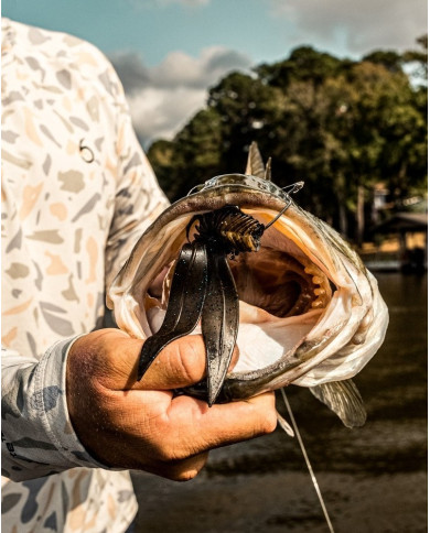 4.8" Bodega (6th Sense)