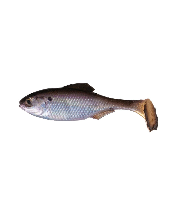 4.3" Panorama Swimbait (6th Sense)