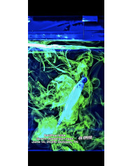 Bait Pop GHOST Live Sonar Intensifier & Scent (Bait Pop)