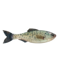 5" Plump Panorama Soft Jerkbait (6th Sense)