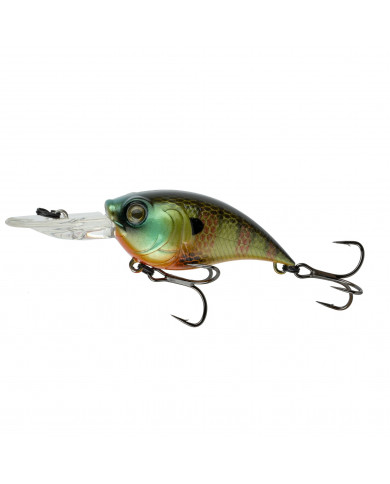 2.25" 5-9ft Curve 55 (6th Sense)