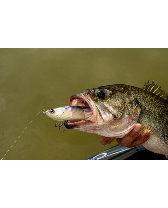 6.5" Draw Glide Bait (6th Sense) 6.5" Draw Glide Bait (6th Sense)