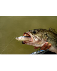 6.5" Draw Glide Bait (6th Sense) 6.5" Draw Glide Bait (6th Sense)