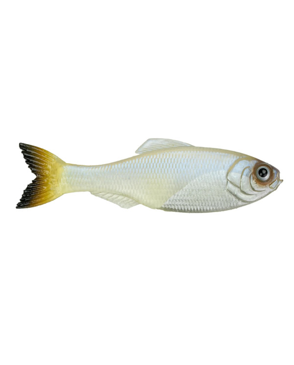 2.8" Panorama Soft Jerkbait (6th Sense) 2.8" Panorama Soft Jerkbait (6th Sense)