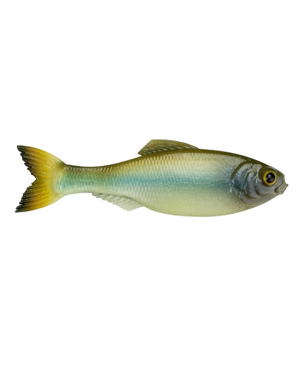 6.5" Panorama Soft Jerkbait (6th Sense) 6.5" Panorama Soft Jerkbait (6th Sense)