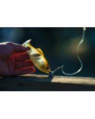 6.5" Panorama Soft Jerkbait (6th Sense)