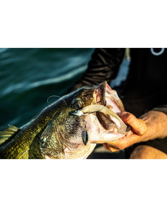 Baby Shad Axle Underspin (6th Sense) Baby Shad Axle Underspin (6th Sense)