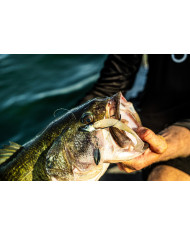 Baby Shad Axle Underspin (6th Sense) Baby Shad Axle Underspin (6th Sense)