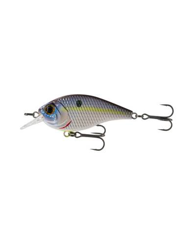 PD4 | 2.25" | 2-4ft (SILENT) PRESSURE SERIES (6th Sense)