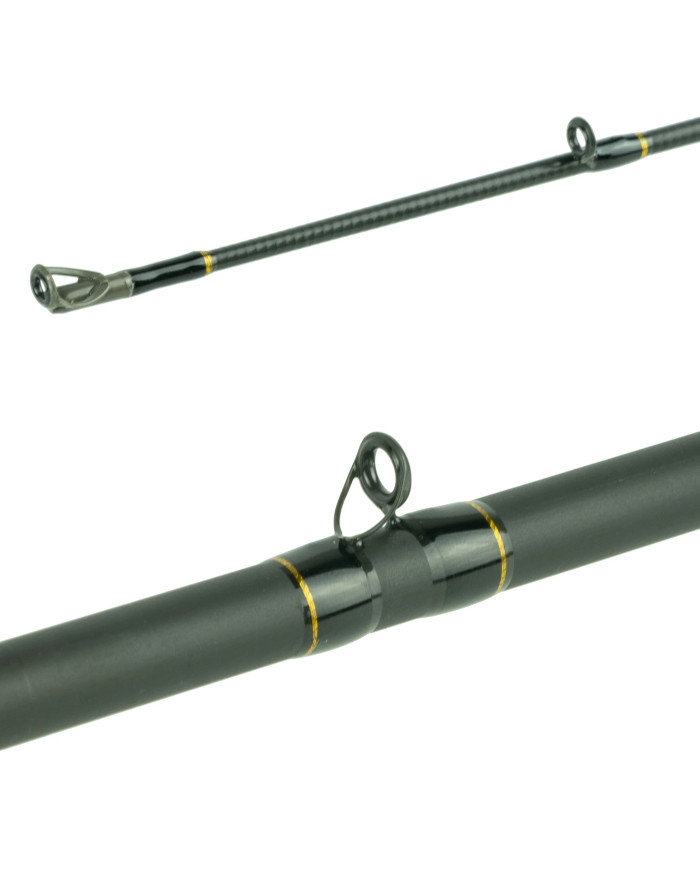 Vega Series 7'3", Heavy, Fast Fishing Rod (6th Sense) Vega Series 7'3", Heavy, Fast Fishing Rod (6th Sense)