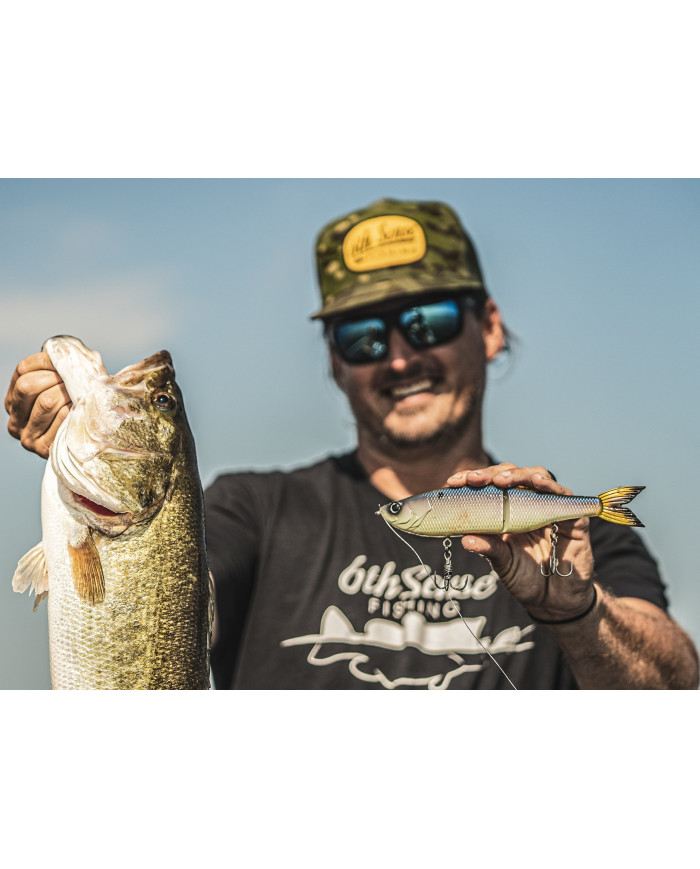 9" Slow Sinking Draw Swimbait (6th Sense)