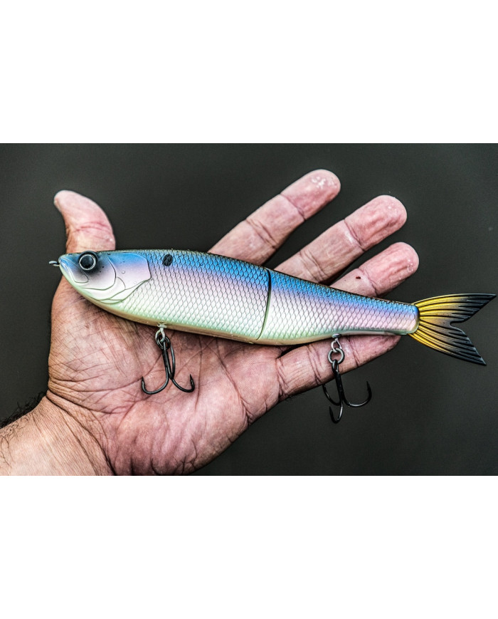 9" Slow Sinking Draw Swimbait (6th Sense)