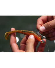 Perch Gill Line Through Treble Head (6th Sense) Perch Gill Line Through Treble Head (6th Sense)