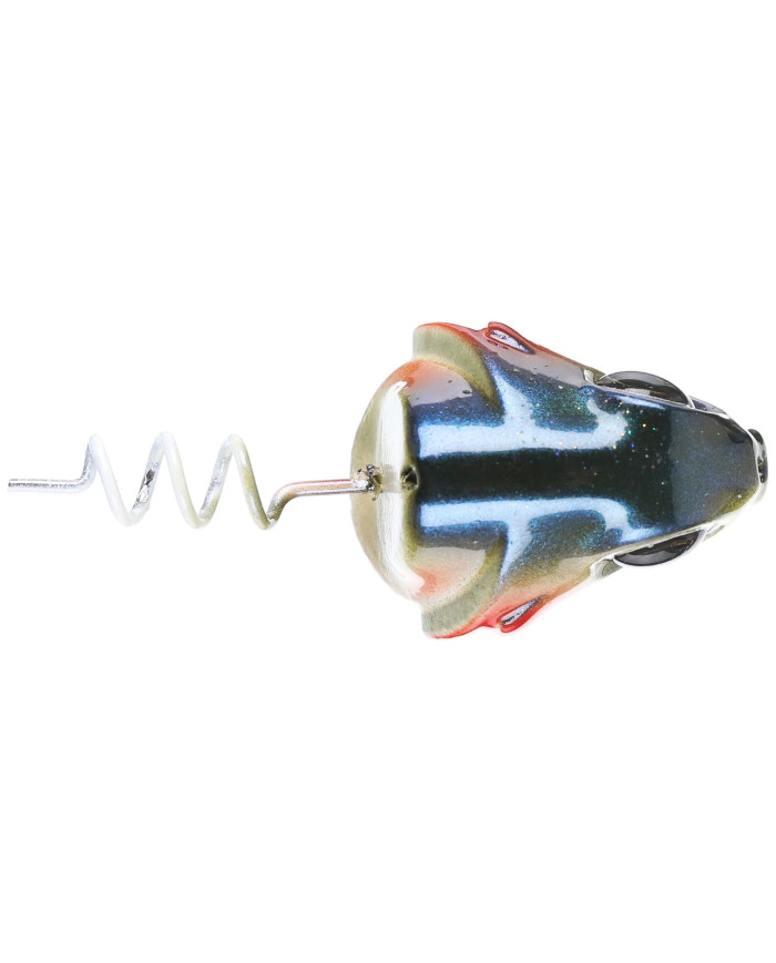 Perch Gill Line Through Treble Head (6th Sense) Perch Gill Line Through Treble Head (6th Sense)