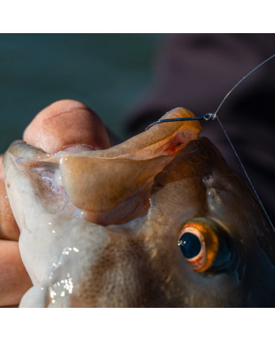 Dropshot Fishing Hooks (6th Sense)