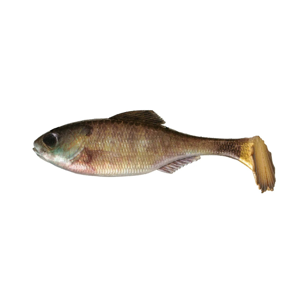 Panorama Swimbait