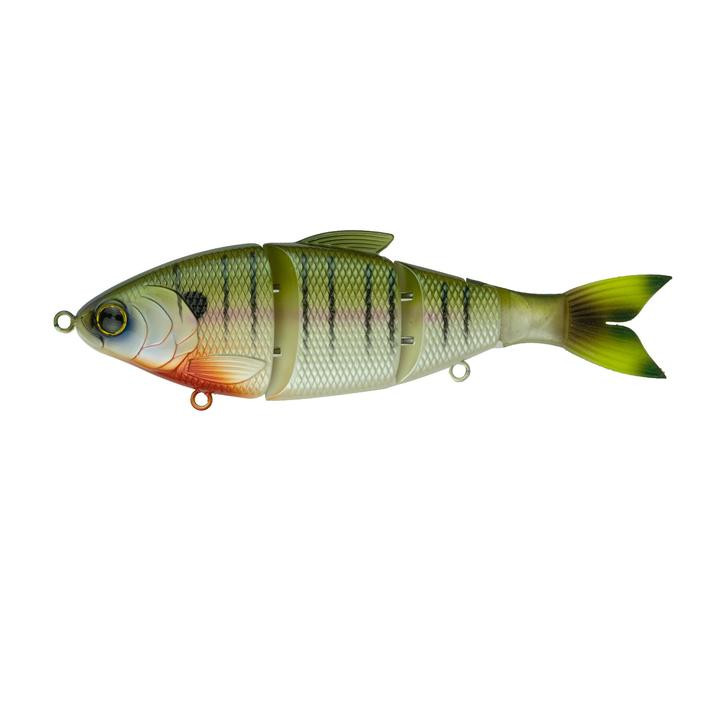 Trace Swimbaits