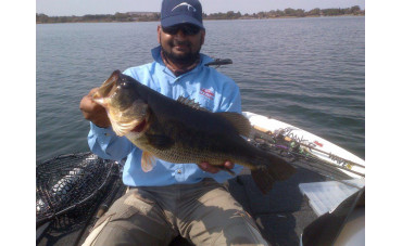 FROGGING MY WAY - Shahid Ebrahim